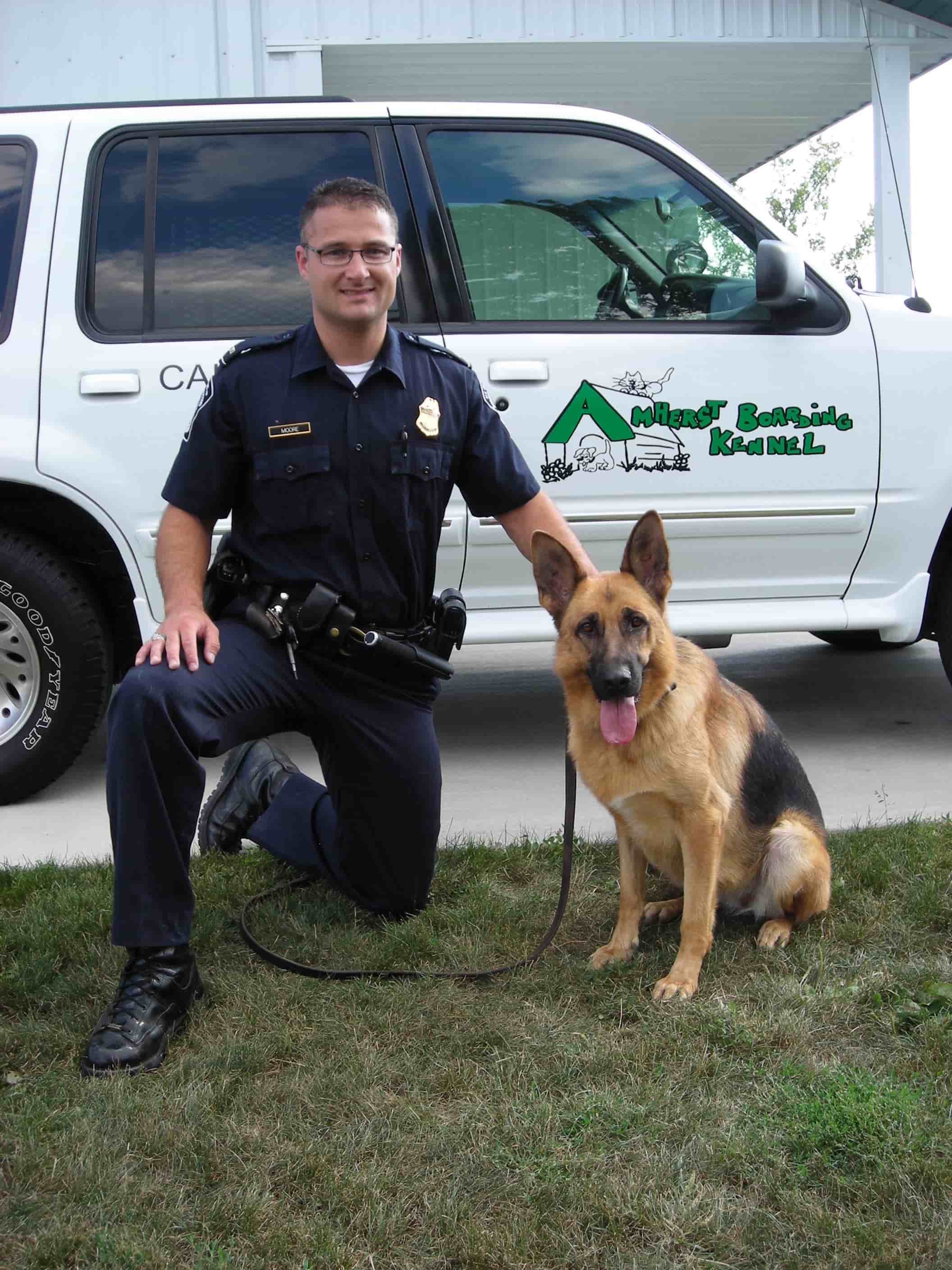 Are Police K9 Considered Service Dogs